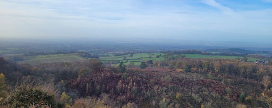 Bickerton Hill