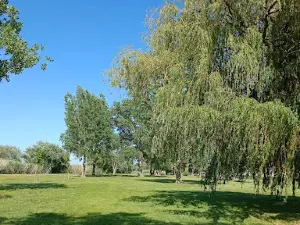 Balatonberényi sportpálya