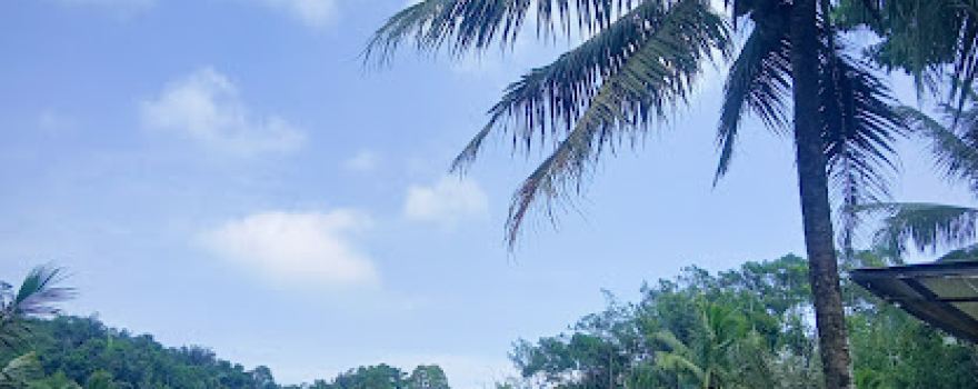 Jadun