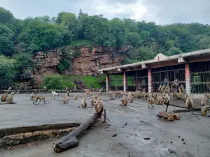 Niliya Mahadev & Waterfall