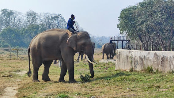 Sauraha Chowk