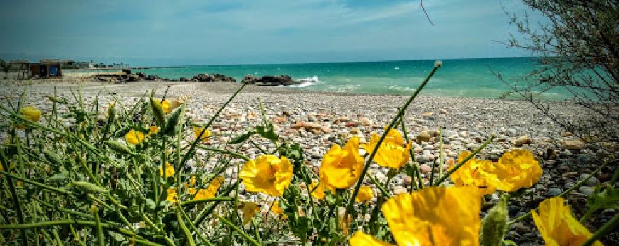 Platja CAN (Platja Belcaire)