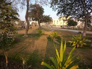 Rose Garden