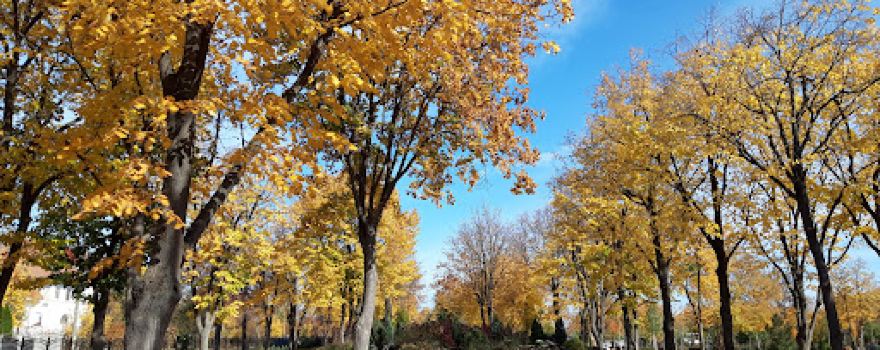 Mihai Eminescu Park