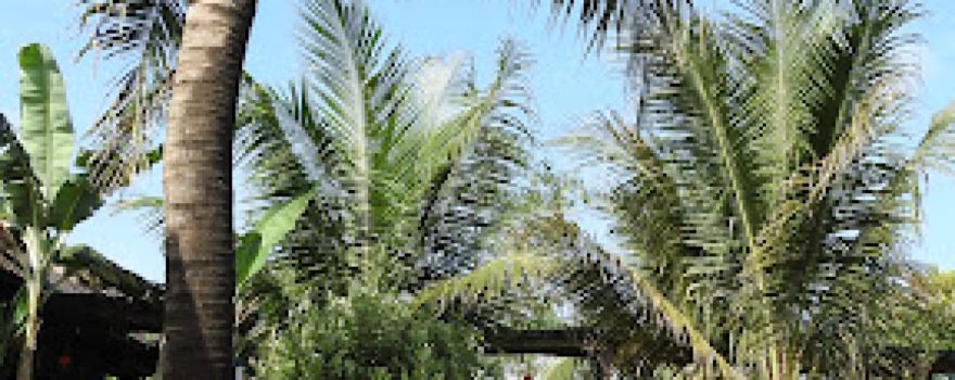Phan Gia Xanh Garden (Restaurant & Farmstay Halal)