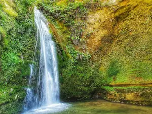 Tangoio Falls Scenic Reserve tracks