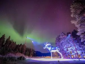 Big Silver Moose