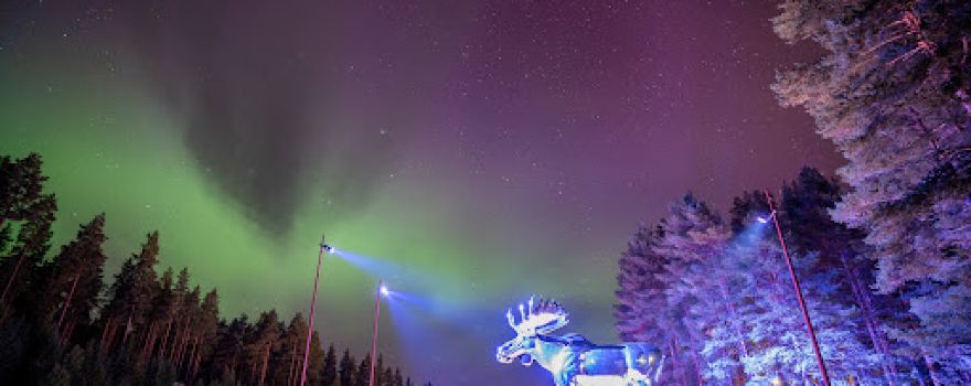 Big Silver Moose