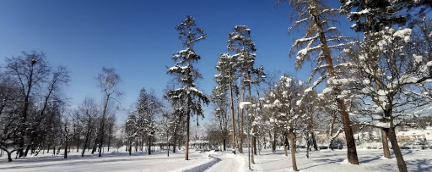 Adam Mickiewicz park