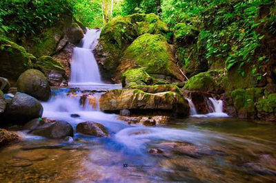 The Waterfall of Ojochal