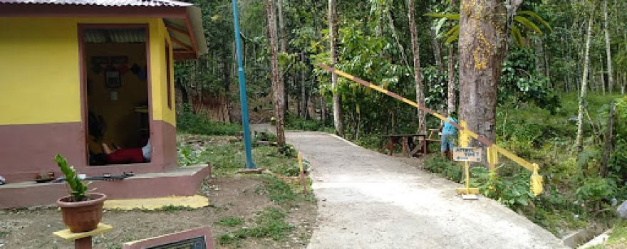 Wisata Alam Pemandian Aek Parulian