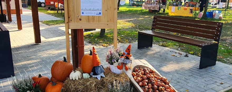Szigetközi Szatyor vásár