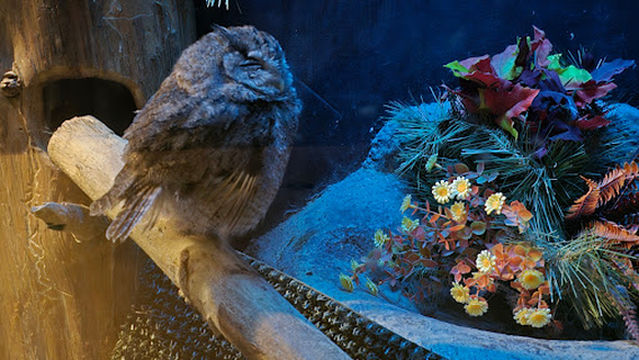 Bay Beach Wildlife Sanctuary Nature Center