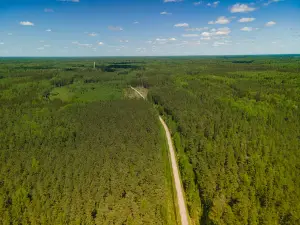 Stompaku purvu partizānu taka