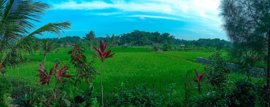 Lapang Bojong Koneng