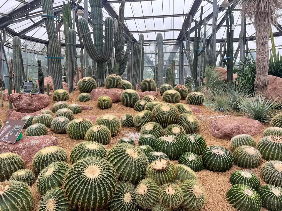 5_South China Botanical Garden, CAS
