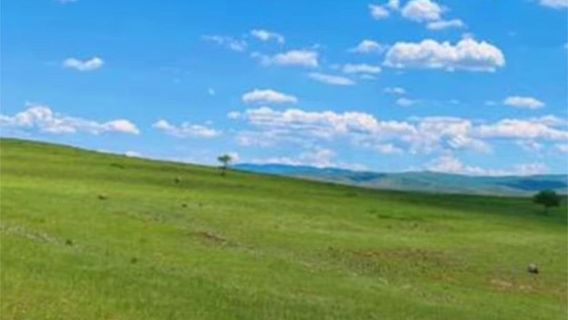 Hulunbuir Grassland