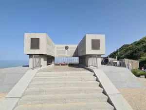 Omaha Beach Dog Green