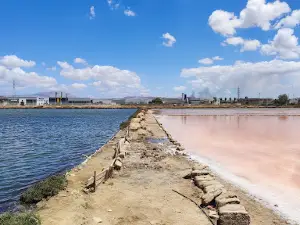 Saline di Trapani e Paceco