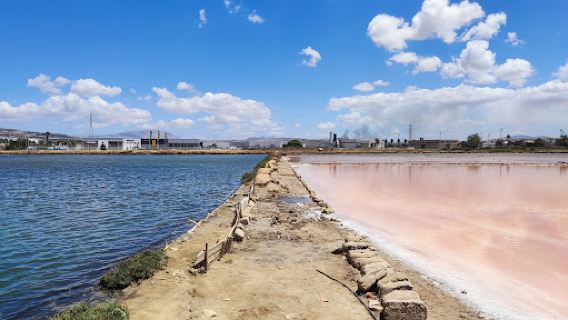 Trapani & Paceco Salt Pans Nature Reserve