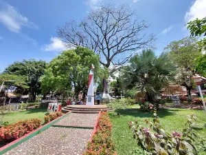 Victoria Caldas Parque Central
