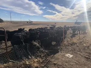 Northwestern Corner of Texas