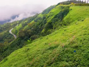 Tilari nagar valley view point