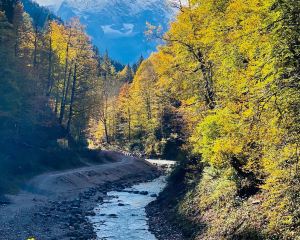 香港-加爾米施-帕滕基興 機票酒店 自由行