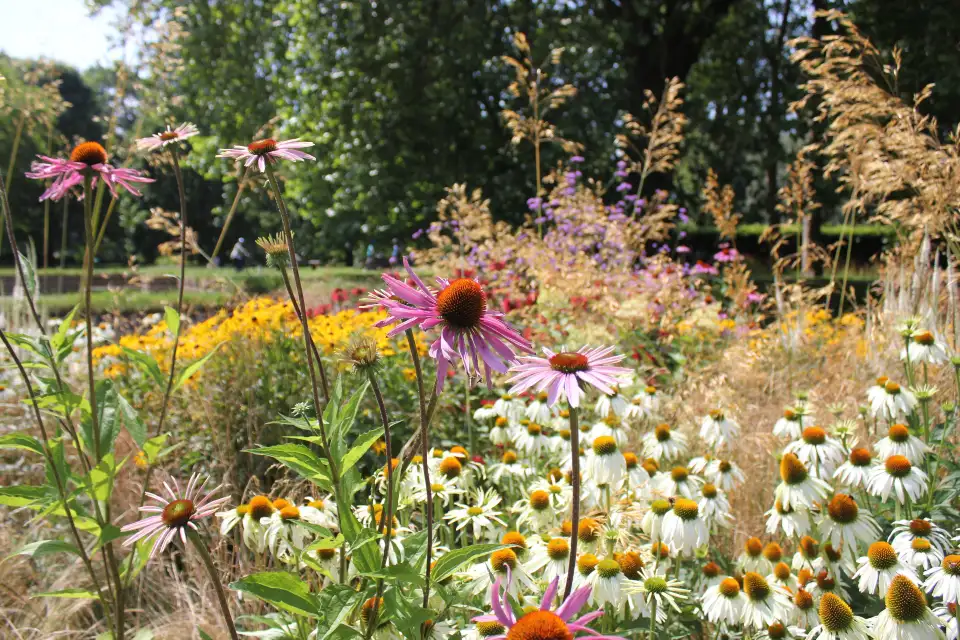 3_Bute Park