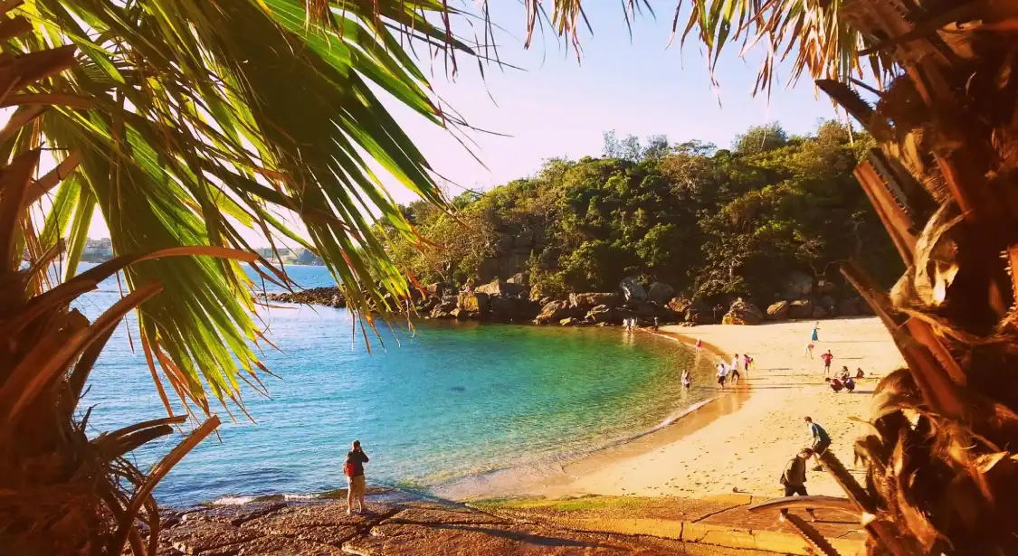 Hotels near Shelly Beach