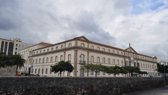 Museum of Nature and Archaeology