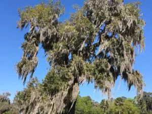 Fort Frederica National Monument