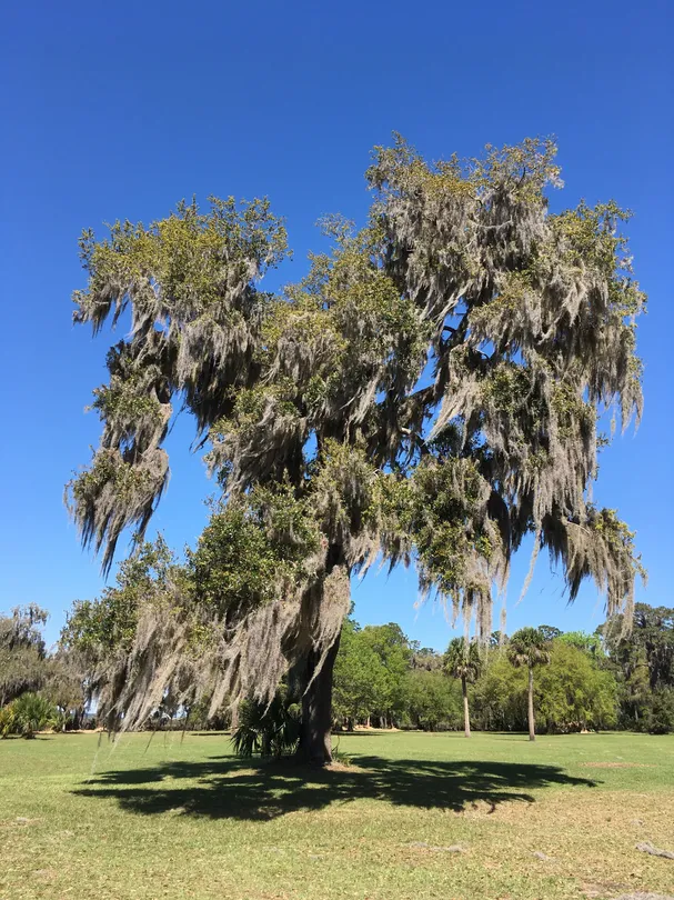 1_Fort Frederica National Monument