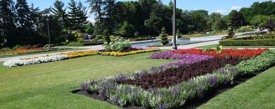 Jackson Park