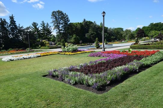 Jackson Park
