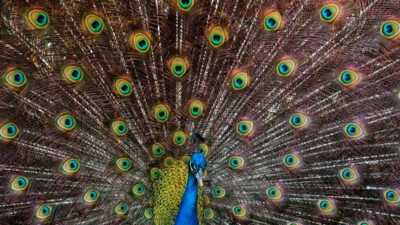 Parc zoologique de Barranquilla
