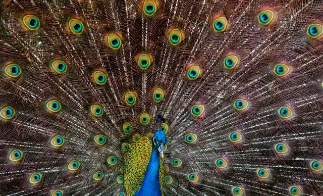 Các khách sạn gần Zoo of the city of Barranquilla