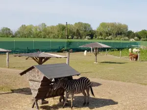 Zoopark Stezery