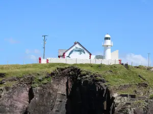 Dingle Dolphin Boat Tours