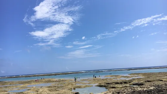大度浜海岸