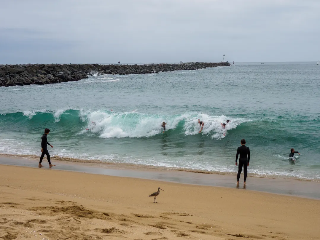 5_The Wedge