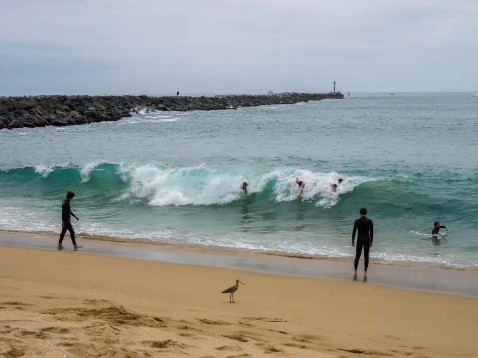 5_The Wedge