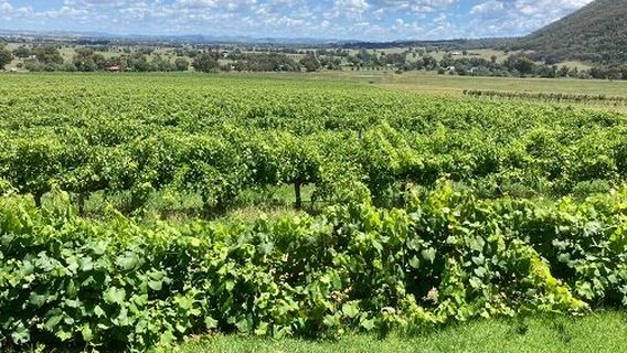 Mudgee