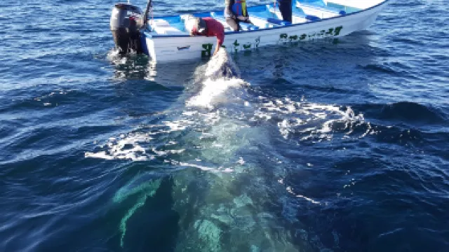 Comondu Municipality