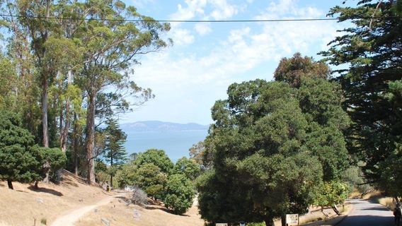 Angel Island Immigration Station