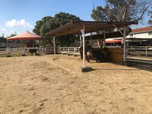Awajishima Ranch
