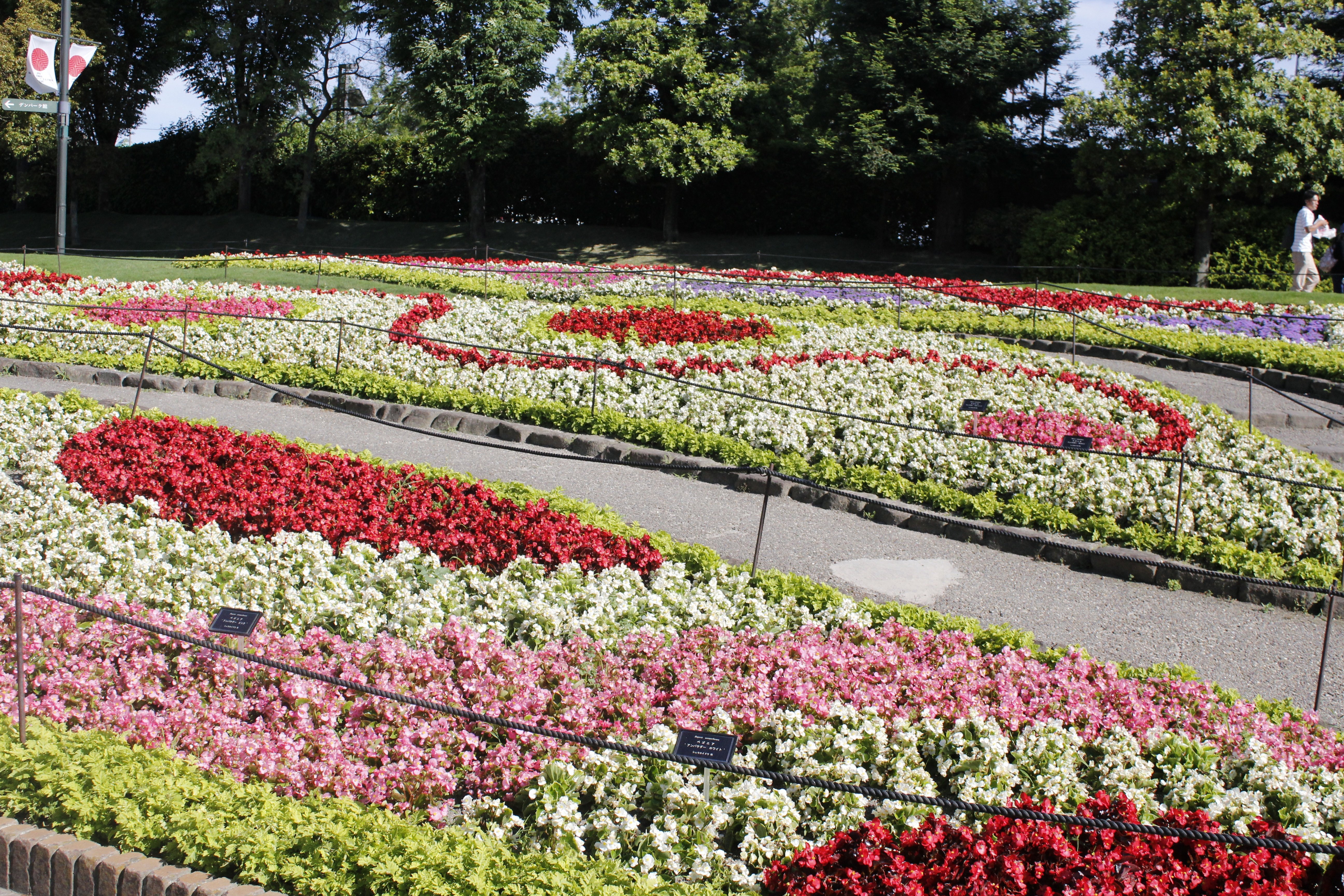 愛知 安城産業文化公園デンパーク Eチケット 予約