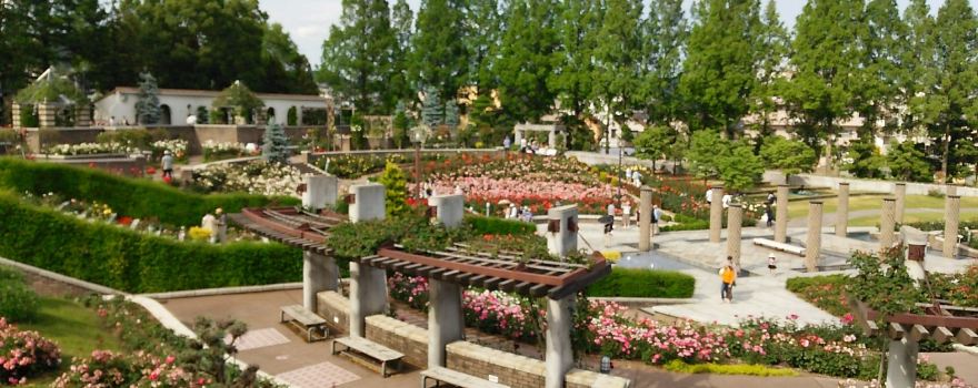 Aramaki Rose Park