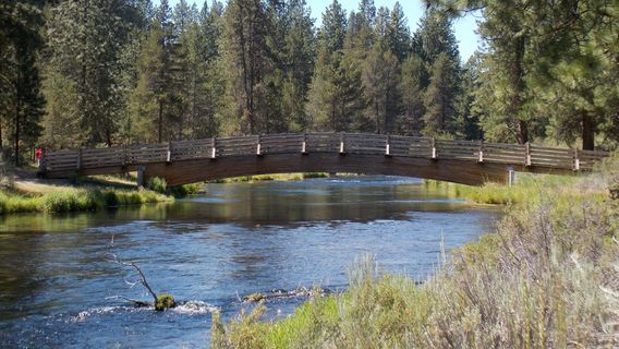 Collier Memorial State Park