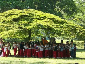 Jardin Botanico Medellin